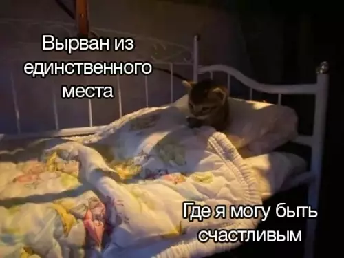 Смешная картинка №786547