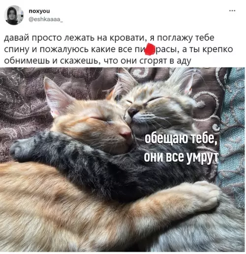 Смешная картинка №625306 Caмoe тёплое в этом мире чувство вызывает поддержка от любимого человека