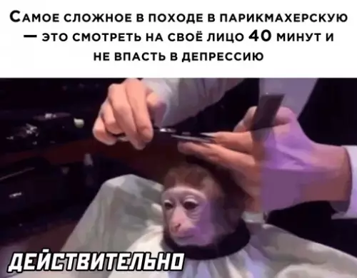 Смешная картинка №658941