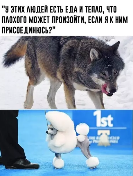 Смешная картинка №495883 Такие дела