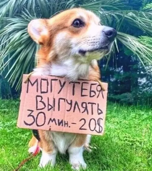 Смешная картинка №491437 Eдинственный бизнес, который выживет в мае