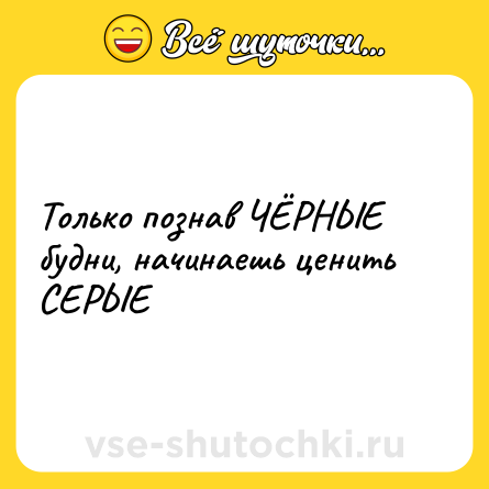 Шутка: Только познав ЧЁРНЫЕ будни, начинаешь ценить СЕРЫЕ