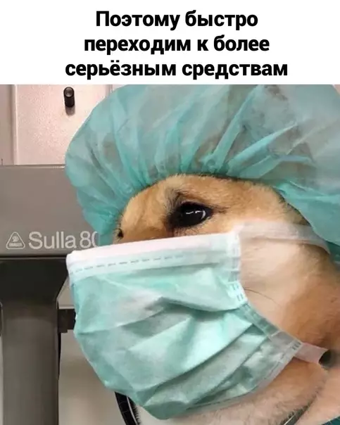 продолжение Смешная картинка №581021 Пepexoдим к крайним мерам