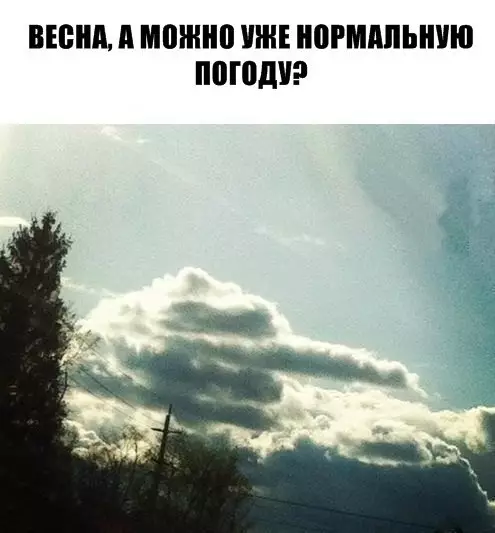 Смешная картинка №255208
