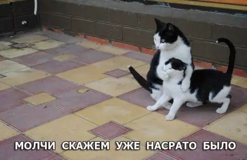 Смешная картинка №421809