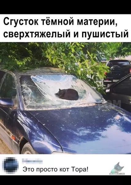 Смешная картинка №370575