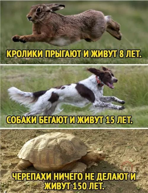 Смешная картинка №598283