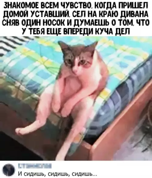 Смешная картинка №441791