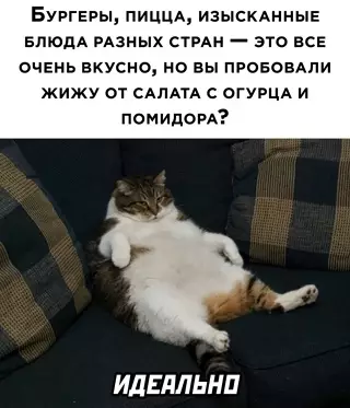 Смешная картинка №636492
