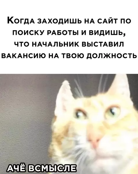 Смешная картинка №516704