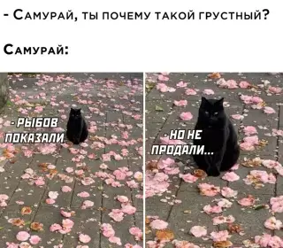 Смешная картинка №641249