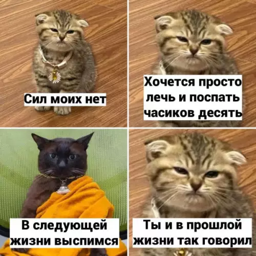 Смешная картинка №651540