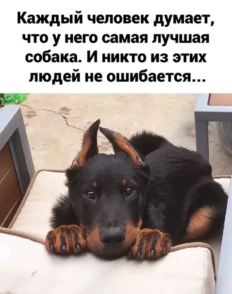 Смешная картинка №499192 Просто знайте