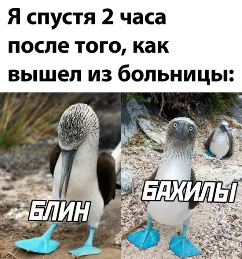 Смешная картинка №599482 бахилы, больница