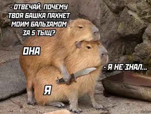 Смешная картинка №667414