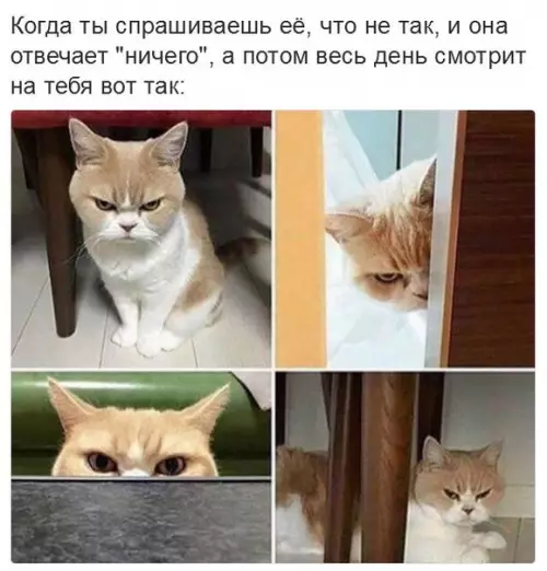 Смешная картинка №262200