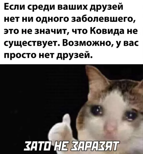Смешная картинка №542098