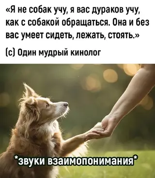 Смешная картинка №714021
