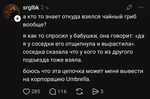 Заговор чайного гриба раскрыт! 🍄🕵️‍♂️ - а кто то знает откуда взялся чайный гриб вообще? я