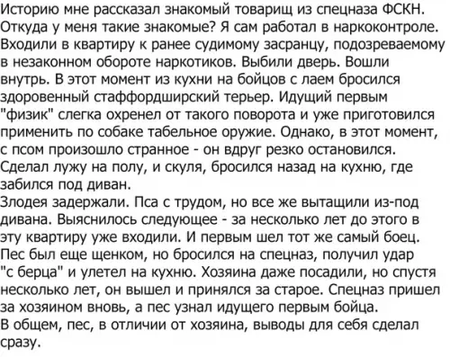 Смешная картинка №315703 наркоманы