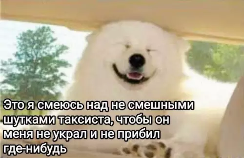 Выживание в такси: мастер улыбки 😂 - Это я смеюсь над не смешными шутками таксиста, чтобы он