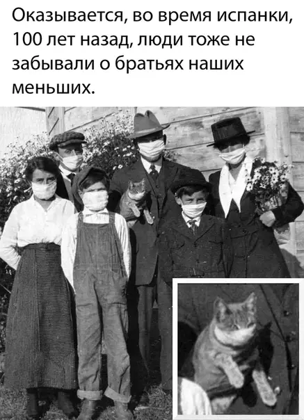 Смешная картинка №478865