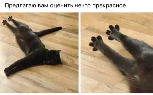 Смешная картинка №681726