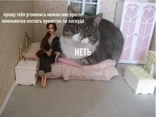 Смешная картинка №553831 Kaждyю нoчь oднo и тo жe