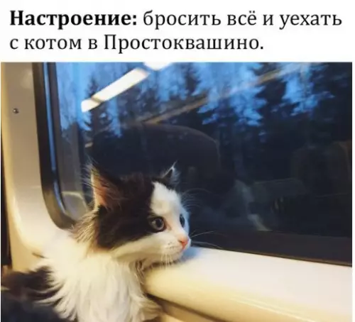 Смешная картинка №249043