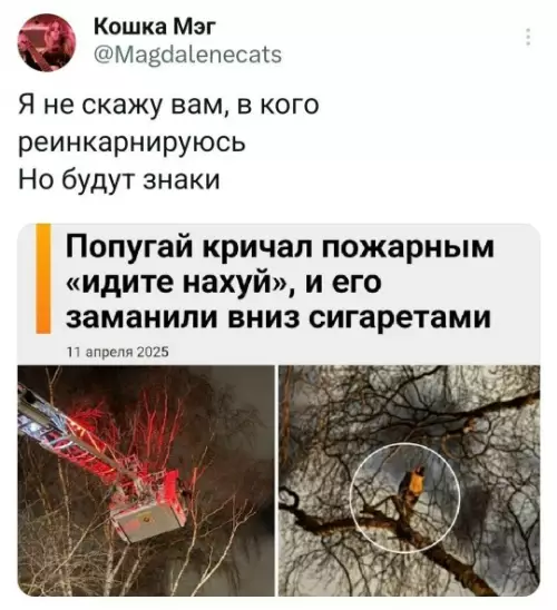 Смешная картинка №794346