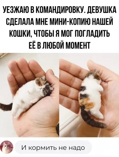 Смешная картинка №691895