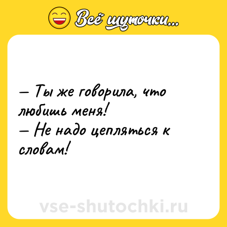 Шутка: — Ты же говорила, что любишь меня!<br>— Не надо цепляться к словам!