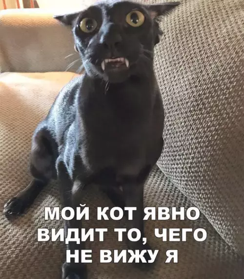 Смешная картинка №268903