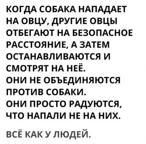 Смешная картинка №179921