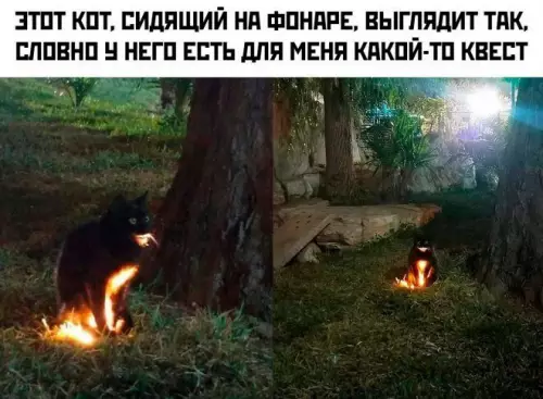 Смешная картинка №675769