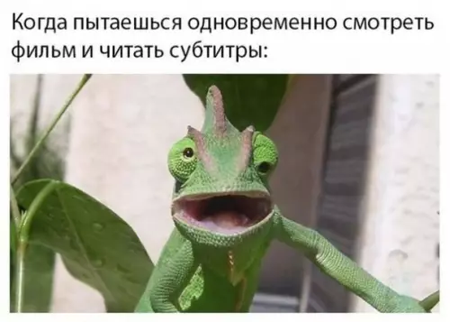 Смешная картинка №312978 А вы смотрите фильмы с субтитрами??
