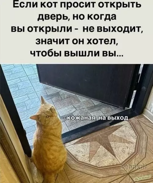 Смешная картинка №717387