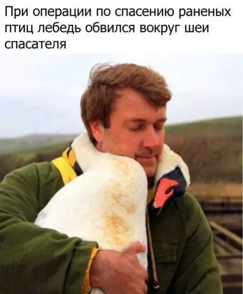 Смешная картинка №189038