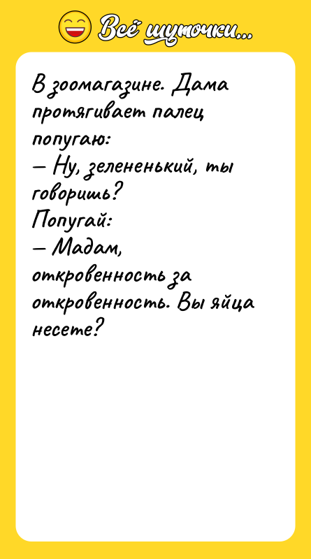 В зоомагазине. Дама протягивает палец попугаю: Ну, зелененький, ты