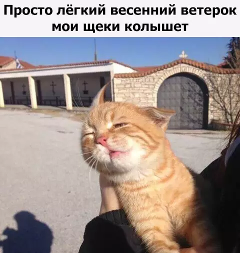 Смешная картинка №262282