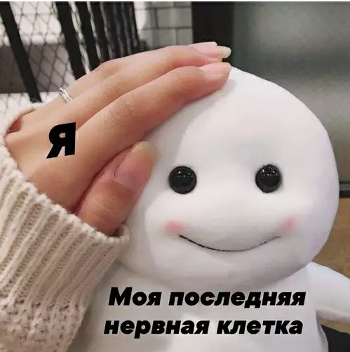 Смешная картинка №360707 Когда настyпает сеcсия