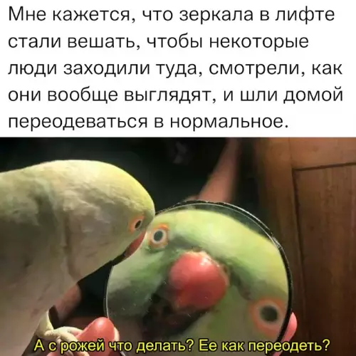 Смешная картинка №673324