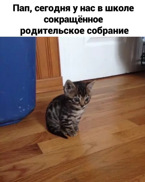Смешная картинка №539668