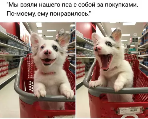 Смешная картинка №238367