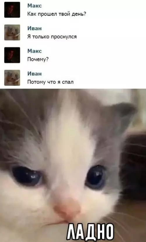 Смешная картинка №669240