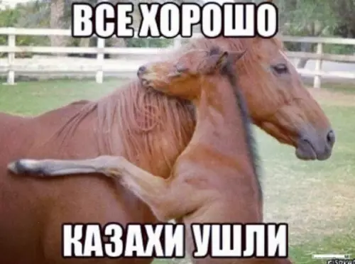 Смешная картинка №289016