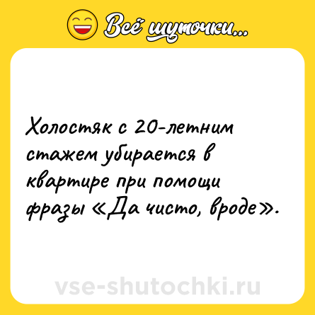 Шутка: Холостяк с 20-летним стажем убирается в квартире при помощи фразы «Да чисто, вроде».