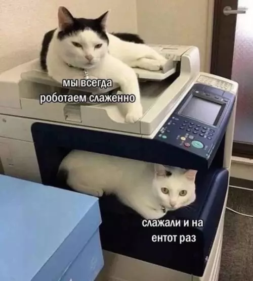 Смешная картинка №773229