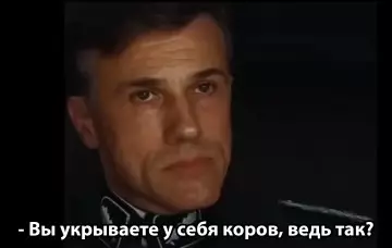 Комичная сцена с вопросом про коров