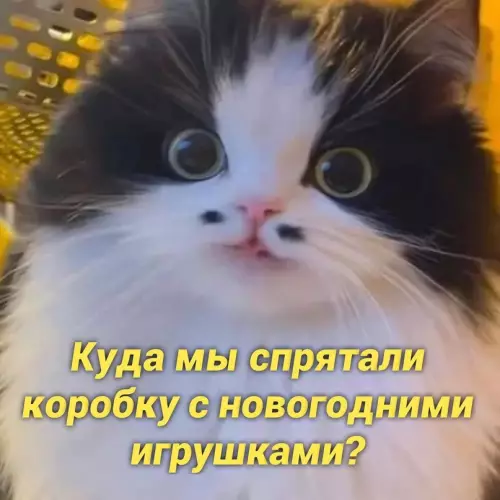 продолжение Смешная картинка №658108